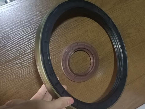 Oil Seal