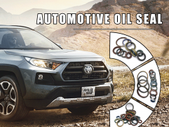 Automotive Oil Seal