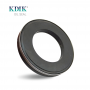 Shaft Oil Seal 65*110*12mm
