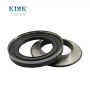 Shaft Oil Seal 65*110*12mm