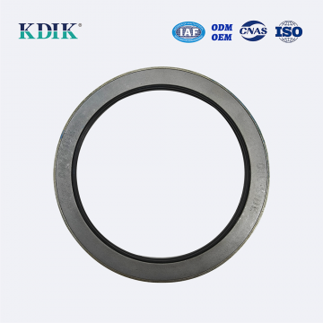 Radial shaft seals SKF Oil Seals with sizes 160