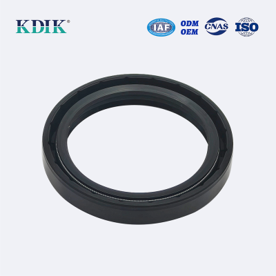 TC Oil seal Rubber Double lip seal ring