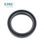 FKM Rubber Oil Seal 53*68*10 Mm