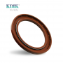 High Pressure Oil Seal TCV Cfw 65*90*7 FKM