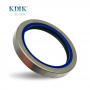 Combi Oil Seal 85*110*16mm