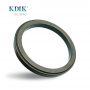 Cassette Oil Seal 117.6*146.15*12.1/15 MM