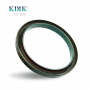 Cassette Oil Seal 117.6*146.15*12.1/15 MM