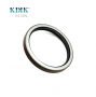 Shaft Seal 100*120*13mm CORTECO 12011400B For Benz