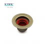 Valve Stem Seals RT570910VM3 for Renault Kangoo 1.6 16v K4m
