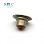 Valve Stem Seals RT570910VM3 for Renault Kangoo 1.6 16v K4m