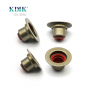 Valve Stem Seals RT570910VM3 for Renault Kangoo 1.6 16v K4m