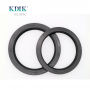 NOK AP3934G Hydraulic Pump Excavator Parts Oil Seal TCN 95*130*13