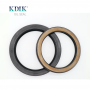 NOK AP3934G Hydraulic Pump Excavator Parts Oil Seal TCN 95*130*13