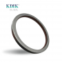 Rwdr Cassette Oil Seal 149.9*176*16 OEM 19026423B for Wheel Hub