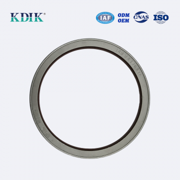 Rwdr Cassette Oil Seal 149.9*176*16 OEM 19026423B for Wheel Hub