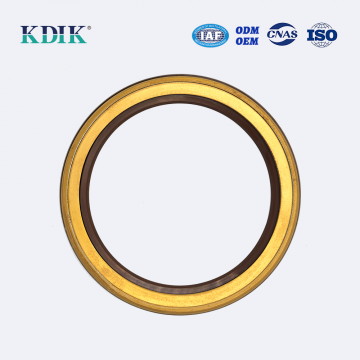 Hydraulic Pump Oil Seal AP4063B TCN 100*125*13 NOK Rubber Oil Seal