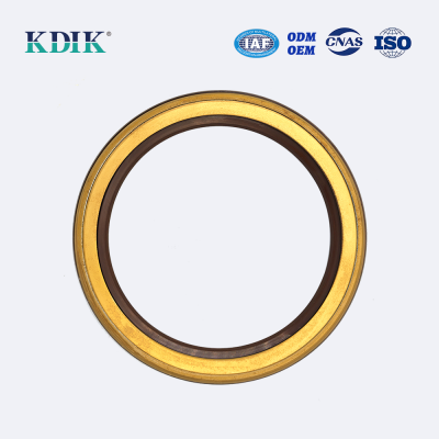 Hydraulic Pump Oil Seal AP4063B TCN 100*125*13 NOK Rubber Oil Seal