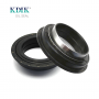 High Quality 55*79*23 Agricultural Machine Oil Seal Parts