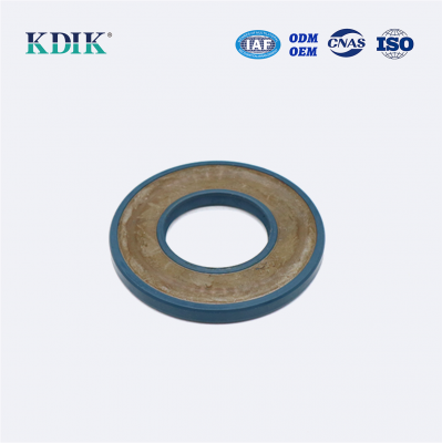 TCV OIL SEAL