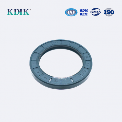 TCV OIL SEAL