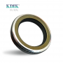 AP2864 Hydraulic Oil Seal TCN 50*72*12 Standard Hydraulic Pump Oil Seal