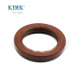 AP3055 NOK Standard TCN 55*78*12 Mechanical Shaft Seal High Pressure Oil Seal