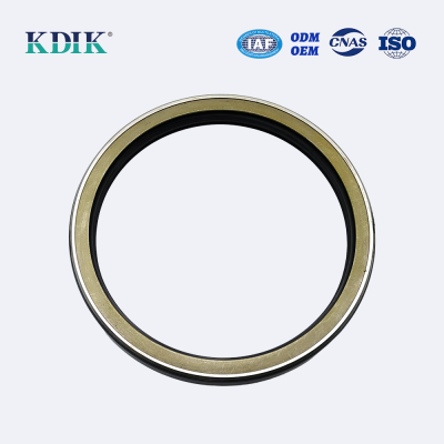 AP4713 NOK High Pressure Oil Seal for Hydraulic Pump TCN 160*190*16