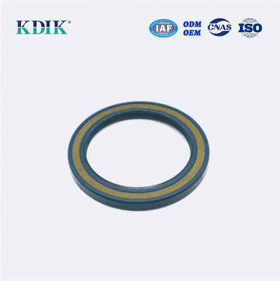 TCV OIL SEAL