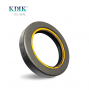 COMBI Oil Seal 45*65*12 CORTECO 12011969B CARRARO 123208 CLAAS 03240590 RENAULT 6000103016