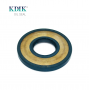 TCV High Pressure Oil Seal Bab3SL05 24*55*6 For Hydraulic Pump Seal NBR FKM