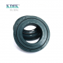 High Quality Tractor Oil Seal AQ7963P 38*65*10.5/16.5 Kubota Seal 70536-55230 China Manufacturer