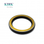 AP3842 85*110*13 Standard High Quality nok Pressure Pump Oil Seal