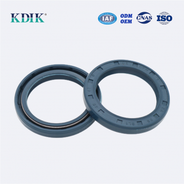 High Pressure TCV Radial Shaft Seal CFW BABSL05