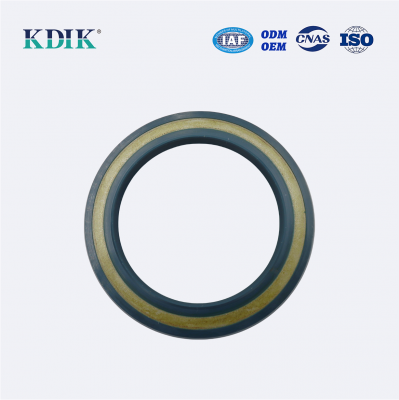 High Pressure TCV Radial Shaft Seal CFW BABSL