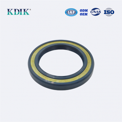 High Pressure TCV Radial Shaft Seal CFW BABSL05