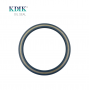 High Pressure TCV 127*152*9.5 CFW BABSL Type NBR FKM Oil Seal for Hydraulic Pump