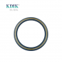 High Pressure TCV 95*115*12 CFW BABSL Type FKM Gearbox Shaft Oil Seal