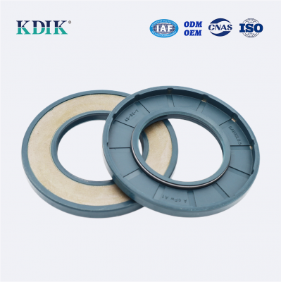 High Pressure TCV Radial Shaft Seal CFW BABSL05
