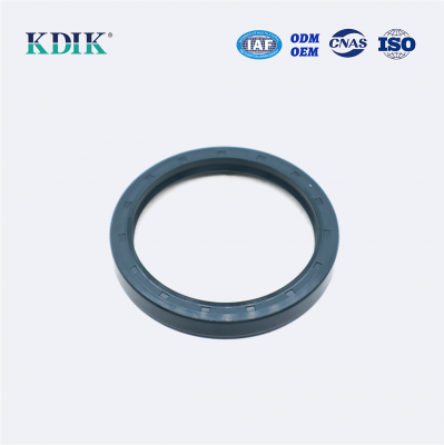 High Pressure TCV Radial Shaft Seal CFW BABSL