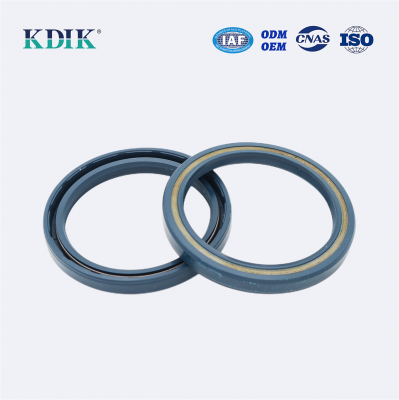 High Pressure TCV Radial Shaft Seal CFW BABSL05