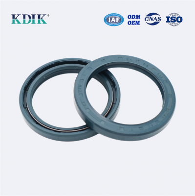 High Pressure TCV Radial Shaft Seal CFW BABSL05