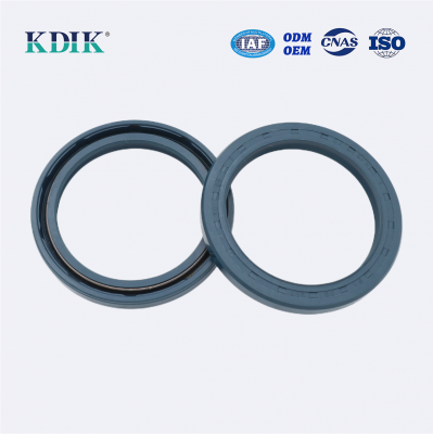 High Pressure TCV Radial Shaft Seal CFW BABSL05