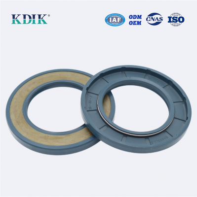 High Pressure TCV Radial Shaft Seal CFW BABSL05