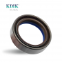COMBI SF19 Oil Seal 48*65*16.5 CORTECO 12077310B CARRARO 140224 RENAULT 6000104488 NEW HOLLAND 85821287