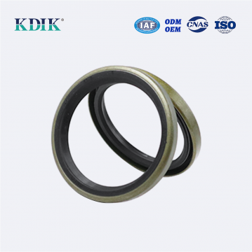 Standard Oil Seal TB Type 41.1*50.8*6 Oil Seal ARCA 5141-1 Oil Seal 03161ba Hydraulic Systems