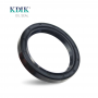 High Quality TC 53*68*10 NBR Rubber Oil Seal Rotary Shaft Oil Seal
