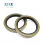 CORTECO 19019062B NOK BA2990-F0 Oil Seal TA 66*85*8/10 For Toyota 90311-66001 90311-66003