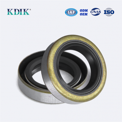 TB Type 20*30*7 Oil Seal Metal Case Rotary Shaft Oil Seal Auto Parts