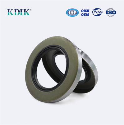 Standard Shaft TB 62*100*12 Oil Seal Wheel Hub Auto Oil Seal Parts