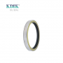 BW5669E Crankshaft Oil Seal 140*170*18 NBR Rubber Oil Seal for Excavator